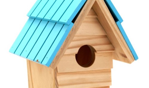 RHS Bird House, £14.jpg LR