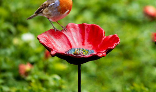 poppy-feeder-with-robin24